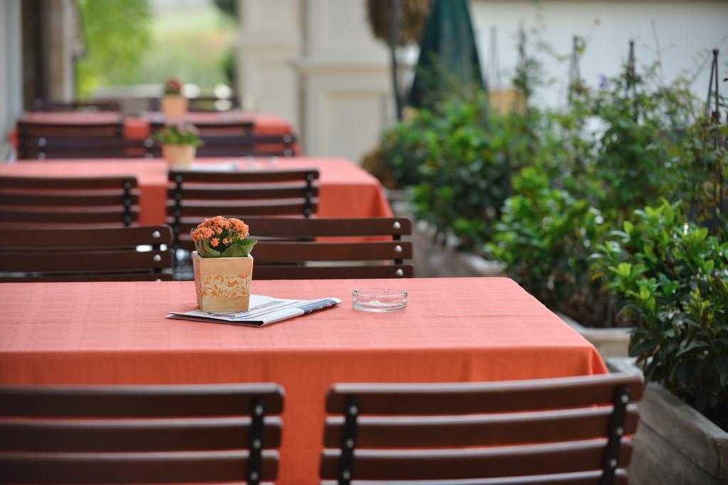 Mosnita Noua Hotel Castel Royal מראה חיצוני תמונה