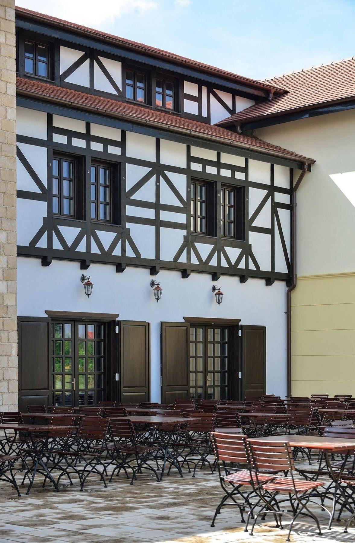 Mosnita Noua Hotel Castel Royal מראה חיצוני תמונה